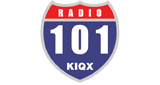Logo Radio 101.3 FM