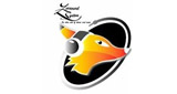 Logo Zorround System