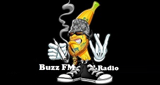 Logo Buzz FM