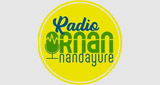 Logo Radio Ornán Nandayure