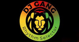 Logo Yard Vybz Reggae Radio 506