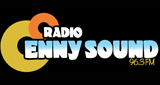 Logo Radio Enny Sound