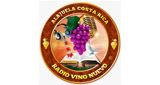 Logo Vino Nuevo CR