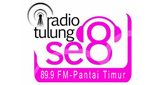 Logo Radio Tulungselapan fm 89.9 mhz