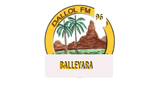 Logo Radio Dallol Balleyara