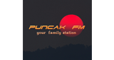 Logo Puncak FM