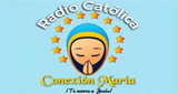 Logo Conexion Maria