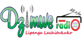 Logo Dzimwe Community Radio
