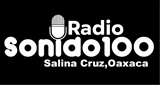 Logo Sonido100 salina cruz
