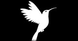 Logo Radio FiliplayTv