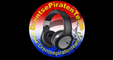 Logo DrentsePiratenTeam