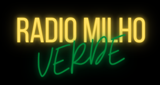 Logo Radio do Milho