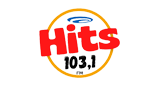 Logo Rádio Hits Fm 103,1