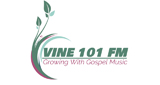 Logo Vine 101 Fm