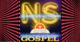 Logo Radio Ns.WEB