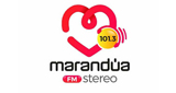 Logo Marandua Stereo 101.3 Fm