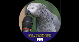 Logo Albishir FM Bauchi