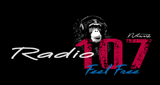 Logo Radio 107 Network