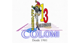 Logo 13 de Noviembre Colomi