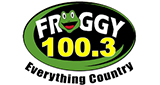 Logo Froggy 100.3