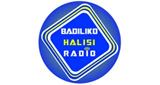 Logo Badiliko Halisi Radio