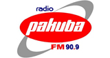 Logo Pakuba Fm 90,9 Mhz