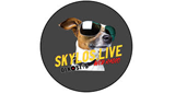 Logo Skylos live radio