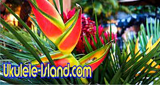 Logo Aloha Joe's Ukulele Island Radio
