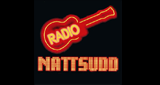 Logo Radio Nattsudd