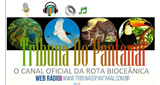 Logo Tribuna Do Pantanal