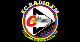 Logo Ec Radio fm