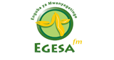 Logo Egesa FM