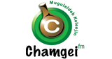 Logo Chamgei FM