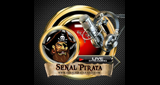 Logo Señal Pirata Playas