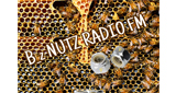 Logo B_z NUTZ RADIO FM