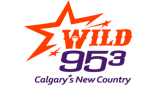 Logo Wild 95.3