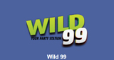 Logo Powerhitz - Wild99