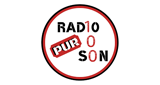 Logo Radio 100 Pur Son