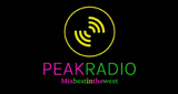 Logo Peak Radio