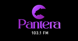 Logo Pantera Fm