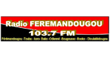 Logo Radio Feremandougou Fm