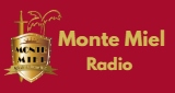 Logo Monte Miel Radio