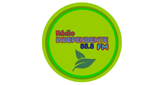 Logo RÁDIO INDEPENDENTE FM