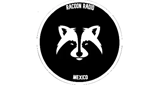 Logo Racoon Radio Mex.
