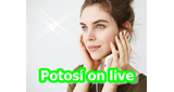 Logo Potosí on live