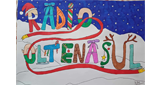 Logo Radio Oltenasul