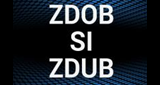 Logo Zdob si Zdub Радио