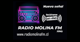 Logo Radio Molina FM Curicó