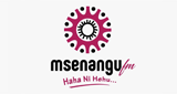 Logo Msenangu FM
