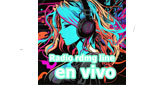 Logo Radio rdmg line